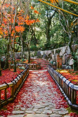 Japan Kreuzfahrten