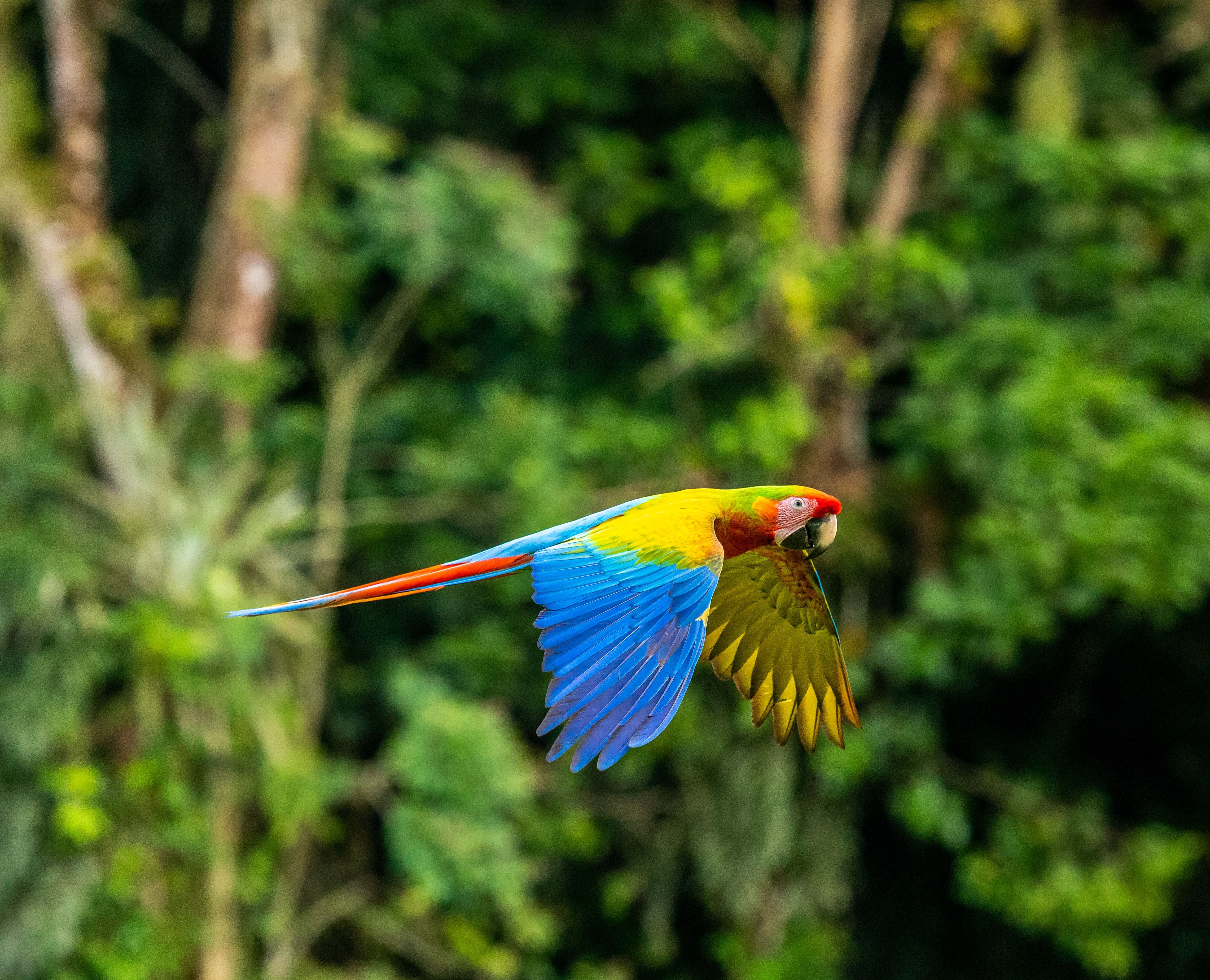 Costa Rica Kreuzfahrten