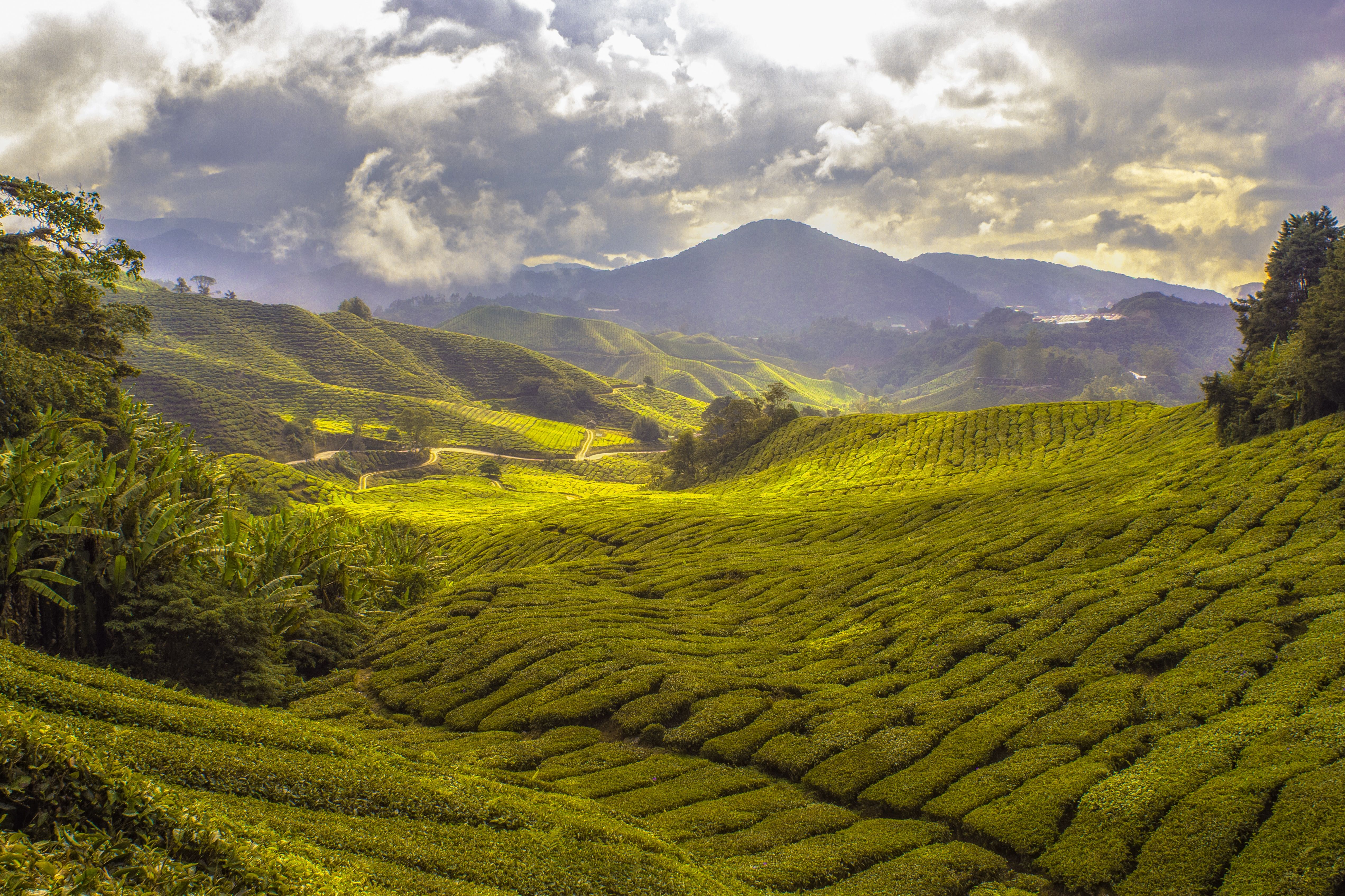 Malaysia Kreuzfahrten