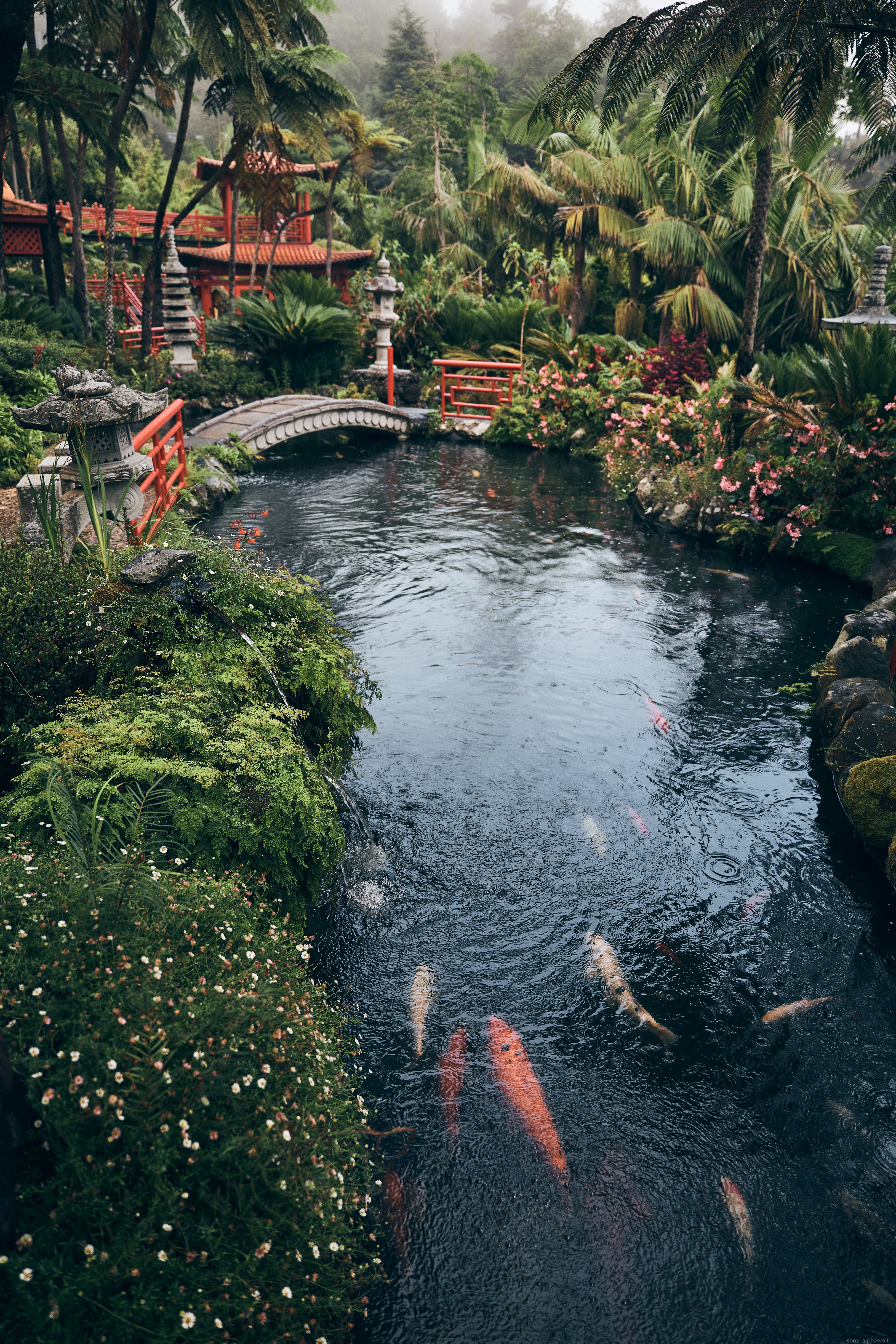 Monte Palace Tropical Garden Madeira Kreuzfahrten