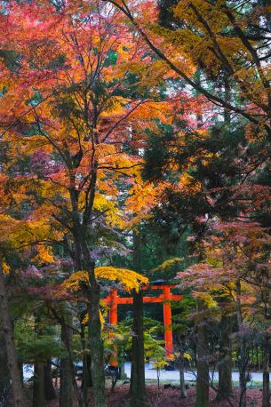  Japan Kreuzfahrten