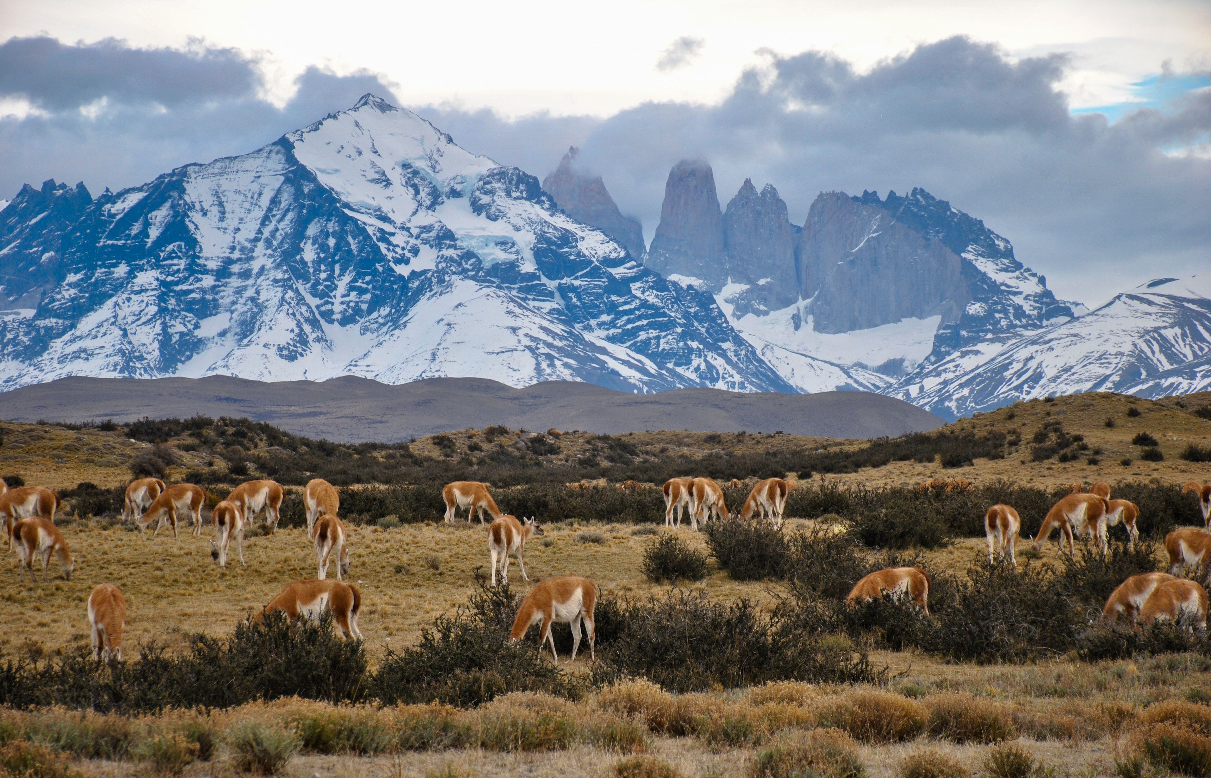 Chile Kreuzfahrten